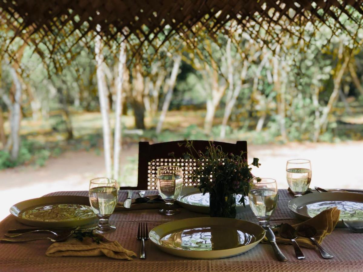 Eden Yala Hotel Ngoại thất bức ảnh