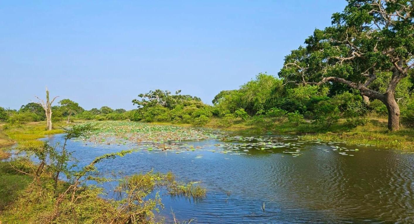 Eden Yala Hotel Ngoại thất bức ảnh