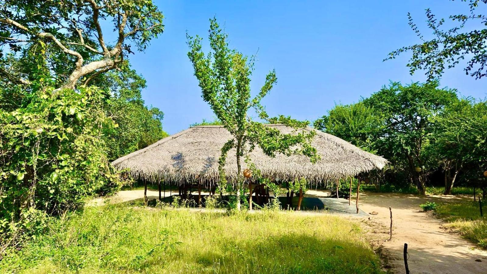 Eden Yala Hotel Ngoại thất bức ảnh